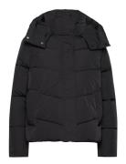 Modern Padded Jacket Fôret Jakke Black Calvin Klein