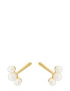 Ocean Pearl Earsticks Accessories Jewellery Earrings Studs Multi/patte...