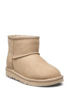 K Classic Mini Ii Snørestøvletter Støvletter Beige UGG