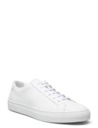 Jermain Leather Sneaker Lave Sneakers White Polo Ralph Lauren
