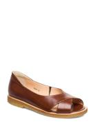 Sandals - Flat - Open Toe - Clo Flate Sandaler Brown ANGULUS