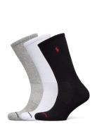 Athletic Crew Sock 3-Pack Underwear Socks Regular Socks Black Polo Ral...