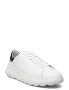 U Spherica Ec4.1 A Lave Sneakers White GEOX