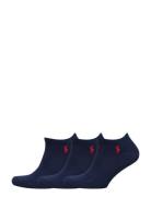 Low-Cut Sock 3-Pack Ankelsokker Korte Strømper Blue Polo Ralph Lauren ...