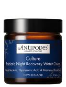 Culture Probiotic Night Recovery Water Cream Beauty Women Skin Care Fa...