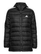 Essentials Light Down Hooded Parka Fôret Jakke Black Adidas Sportswear