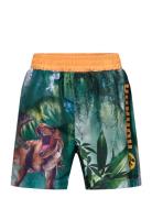 Swimming Shorts Badeshorts Multi/patterned Jurassic World