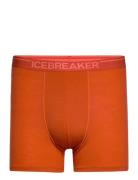 Men Anatomica Boxers Boksershorts Orange Icebreaker