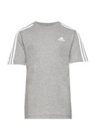 U 3S Tee Sport T-shirts Short-sleeved White Adidas Sportswear