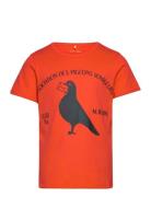 Pigeons Sp Ss Tee Tops T-shirts Short-sleeved Orange Mini Rodini