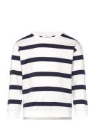 Striped Print Sweatshirt Tops Sweat-shirts & Hoodies Sweat-shirts Navy...