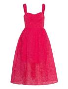 Embroidered Lace Strappy Dress Knelang Kjole Pink French Connection