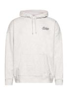 Hco. Guys Sweatshirts Tops Sweat-shirts & Hoodies Hoodies Grey Hollist...