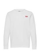 Levi's® Long Sleeve Graphic Tee Shirt Tops Sweat-shirts & Hoodies Swea...