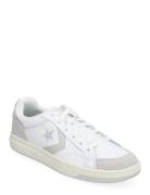 Pro Blaze Classic Ox White/Fossilized Sport Sneakers Low-top Sneakers ...