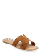 Zarnia Sandal Flate Sandaler Brown Steve Madden