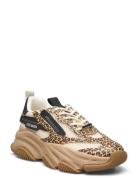 Possession-E Sneaker Lave Sneakers Beige Steve Madden