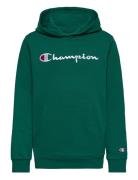 Hooded Sweatshirt Sport Sweat-shirts & Hoodies Hoodies Green Champion