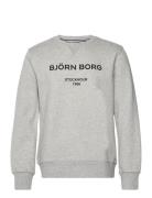 Borg Logo Crew Sport Sweat-shirts & Hoodies Sweat-shirts Grey Björn Bo...