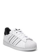 Superstar C Lave Sneakers White Adidas Originals