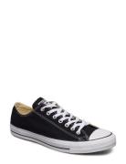 All Star Ox Black Lave Sneakers Black Converse