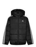 J Ess 3S Pad Fôret Jakke Black Adidas Sportswear