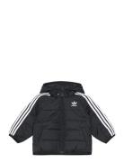 Padded Jacket Fôret Jakke Black Adidas Originals