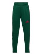 J Np Tiro Pant Bottoms Sweatpants Green Adidas Sportswear