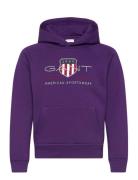 Archive Shield Hoodie Tops Sweat-shirts & Hoodies Hoodies Purple GANT