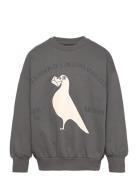 Pigeons Sp Sweatshirt Tops Sweat-shirts & Hoodies Sweat-shirts Grey Mi...