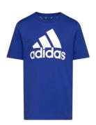 U Bl Tee Sport T-shirts Short-sleeved Blue Adidas Sportswear