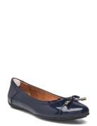 D Charlene C Ballerinasko Ballerinaer Navy GEOX