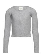 T-Shirt Long-Sleeve Tops T-shirts Long-sleeved T-shirts Grey Sofie Sch...