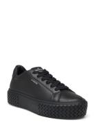 Cph144 Leather Black Lave Sneakers Black Copenhagen Studios