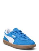 Palermo Ps Sport Sneakers Low-top Sneakers Blue PUMA