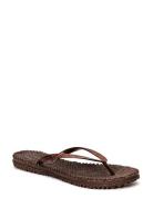 Flipflop With Glitter Shoes Summer Shoes Sandals Flip Flops Brown Ilse...