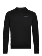 B.intl Essential Crew Sweat Designers Sweat-shirts & Hoodies Sweat-shi...