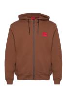 Daple212 Designers Sweat-shirts & Hoodies Hoodies Brown HUGO