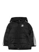 Padded Jacket Sport Jackets & Coats Puffer & Padded Black Adidas Origi...