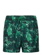 Borg Print Swim Shorts Sport Shorts Green Björn Borg