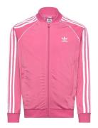 Sst Track Top Sport Sweat-shirts & Hoodies Sweat-shirts Pink Adidas Or...