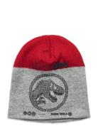 Bonnet Accessories Headwear Hats Beanie Grey Jurassic World