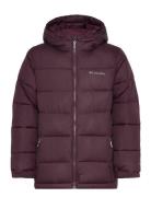 Pike Lake Ii Hooded Jacket Sport Jackets & Coats Puffer & Padded Purpl...
