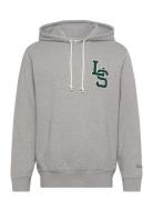 Standard Graphic Hoodie Ls Let Tops Sweat-shirts & Hoodies Hoodies Gre...