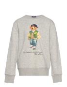 Polo Bear Fleece Sweatshirt Tops Sweat-shirts & Hoodies Sweat-shirts G...