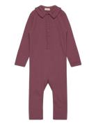 Romper Ls Rib Langermet Bodysuit Burgundy Fixoni