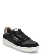 Regan Low Top Lave Sneakers Black AllSaints