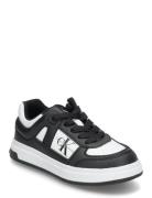 Low Cut Lace-Up Sneaker Black/White Lave Sneakers Black Calvin Klein