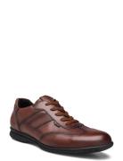 Vernon Lave Sneakers Brown Lloyd