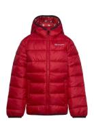 Hooded Jacket Sport Jackets & Coats Puffer & Padded Red Champion